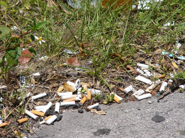 cigarette-litter-1_orig.jpg